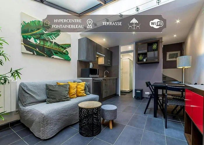 Havre De Paix En Plein Coeur De Apartament Fontainebleau